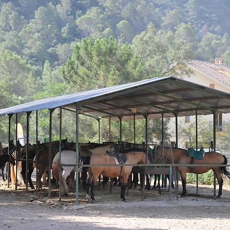 Alojamientos Rural Tejerina Арройо-Фрио Экстерьер фото