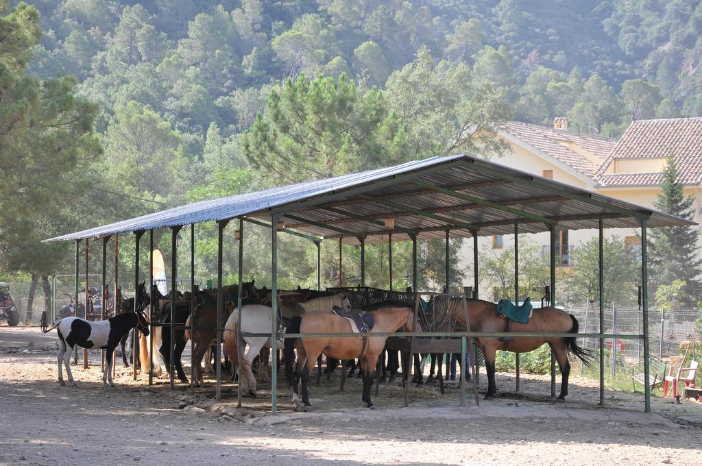 Alojamientos Rural Tejerina Арройо-Фрио Экстерьер фото